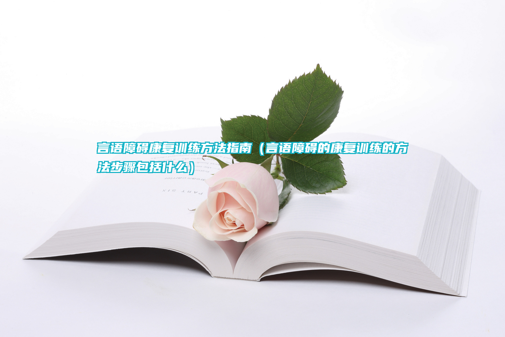 言语障碍康复训练方法指南（言语障碍的康复训练的方法步骤包括什么）